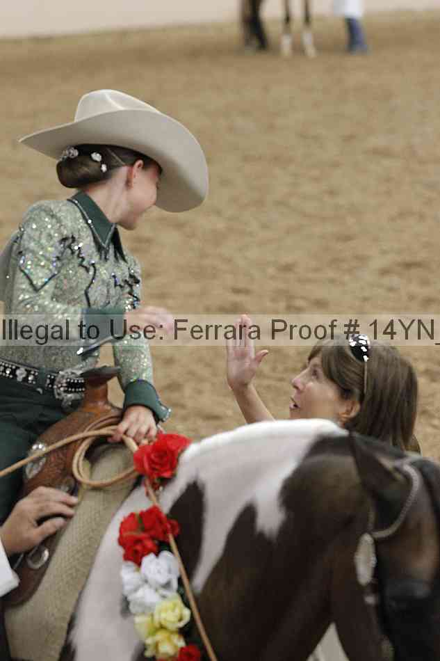 Proof 14yn_12162