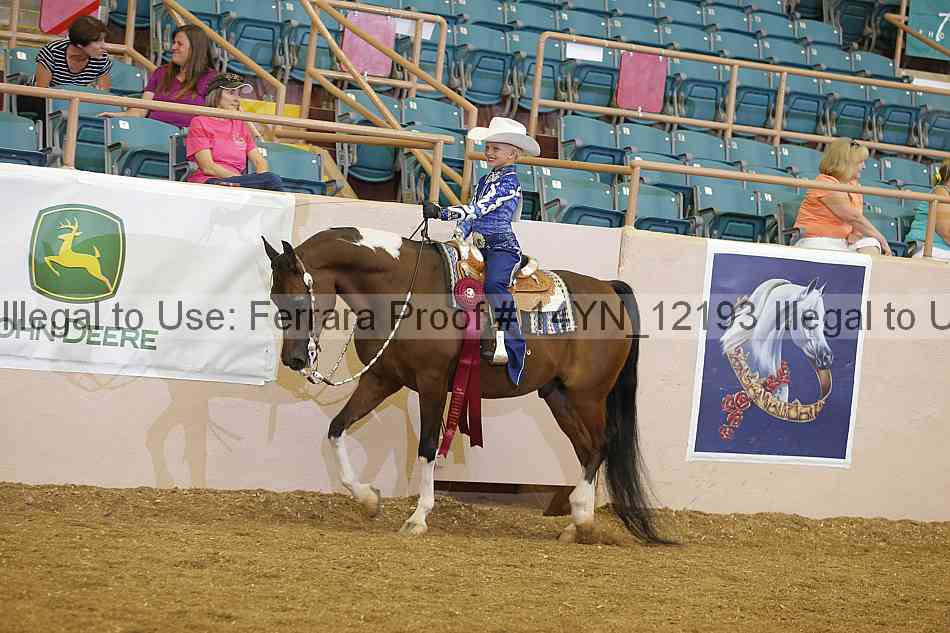 Proof 14yn_12193