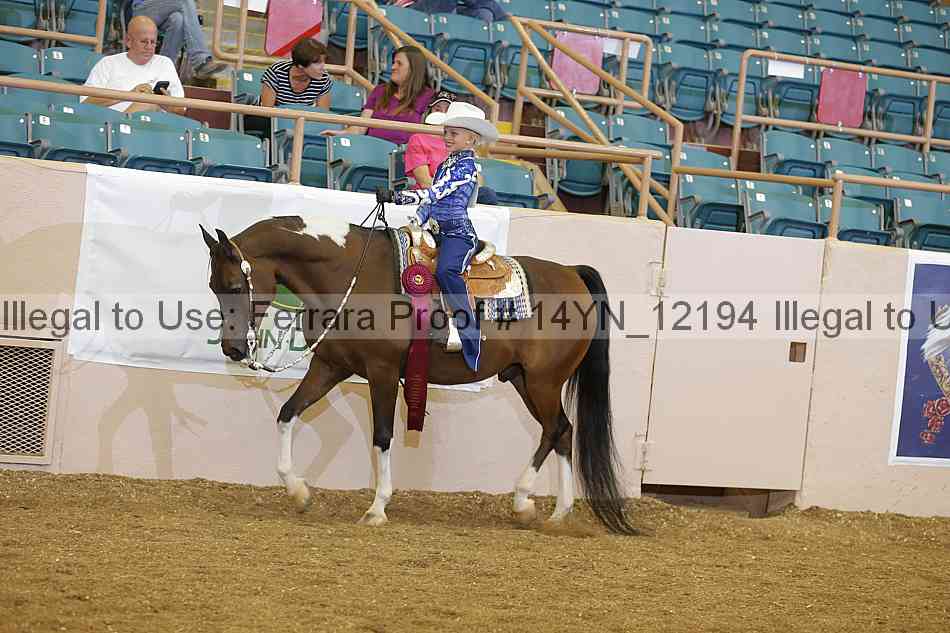 Proof 14yn_12194
