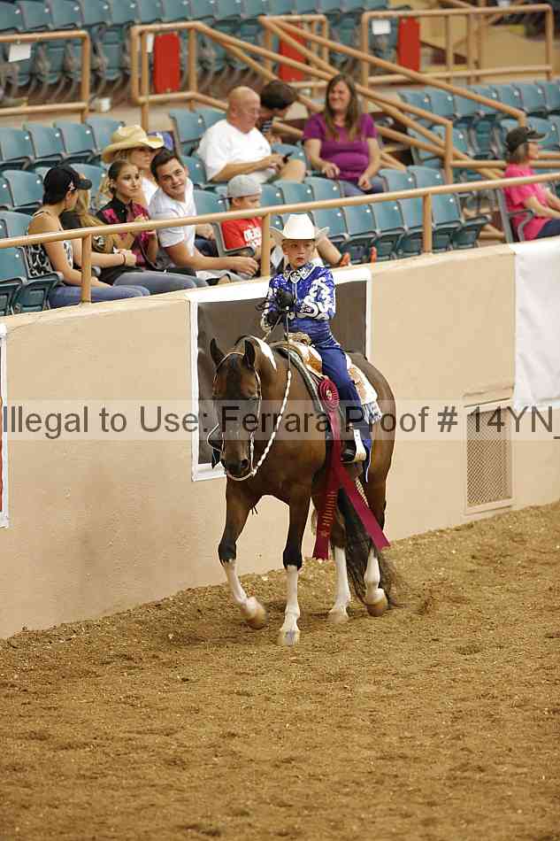 Proof 14yn_12195