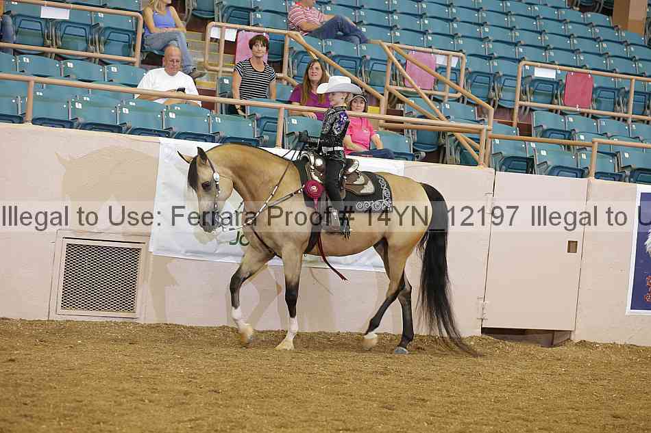 Proof 14yn_12197