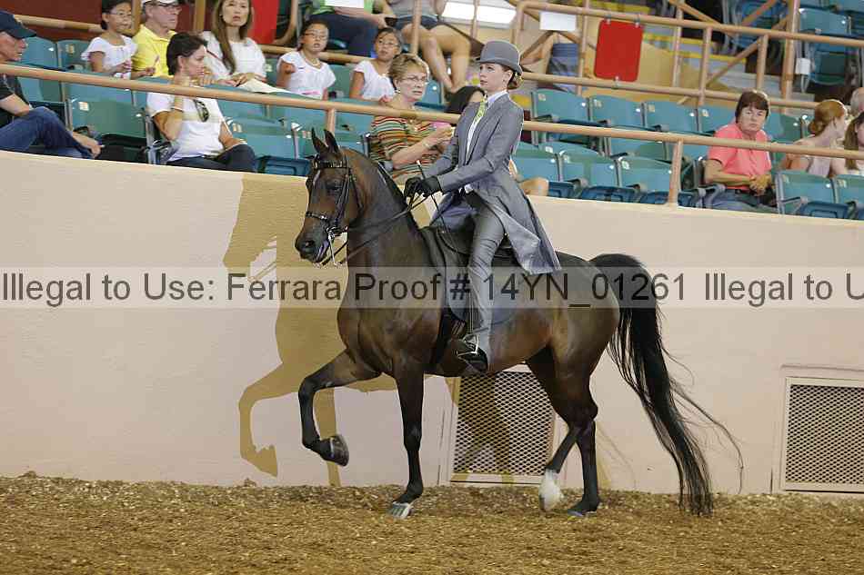 Proof 14yn_01261