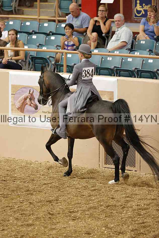 Proof 14yn_01262