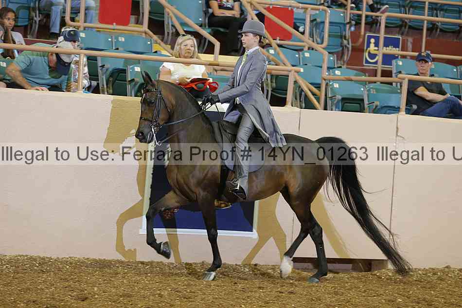Proof 14yn_01263