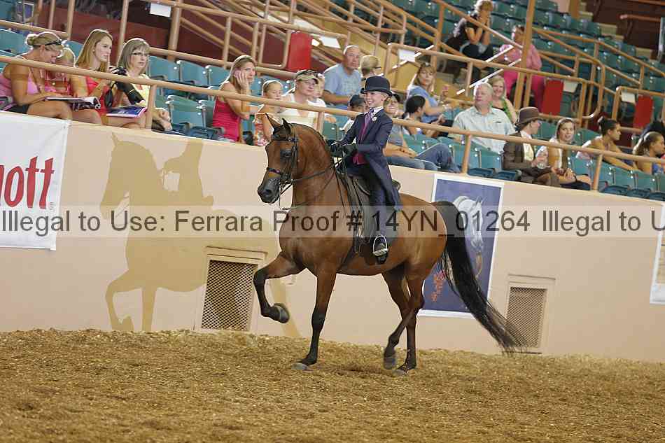 Proof 14yn_01264