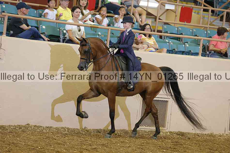 Proof 14yn_01265