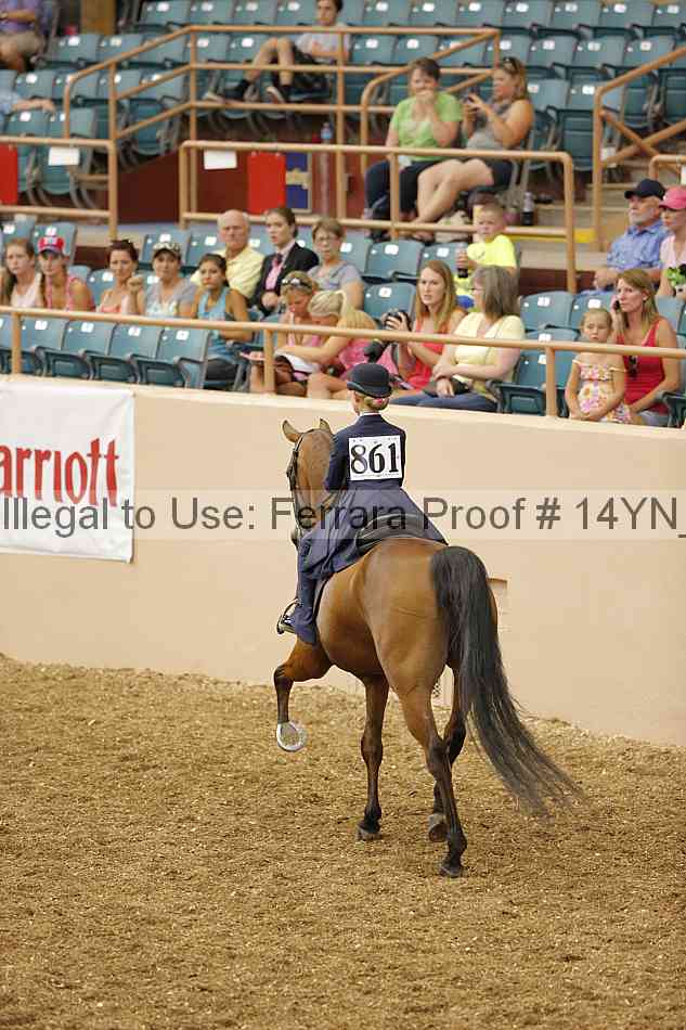 Proof 14yn_01266