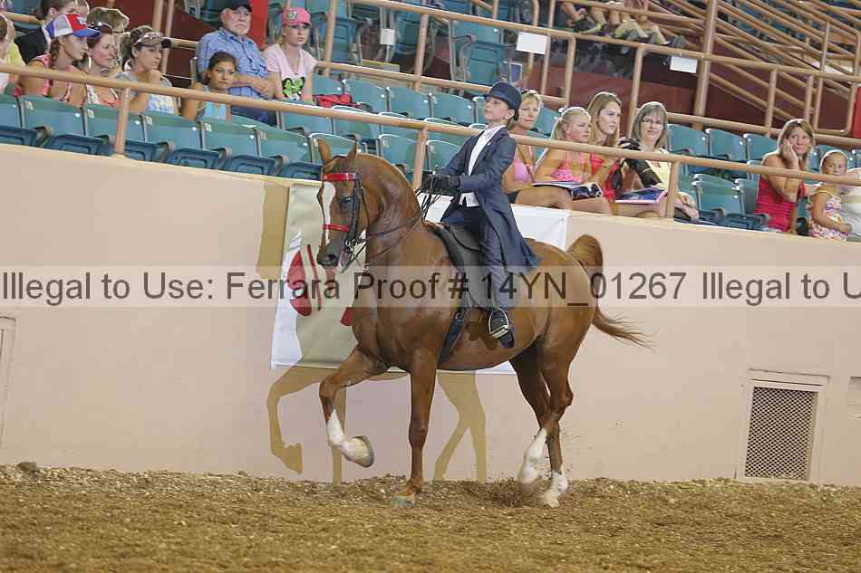 Proof 14yn_01267