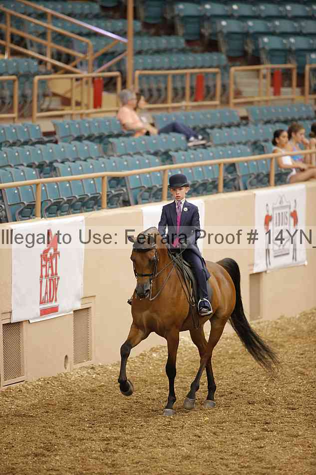 Proof 14yn_01272