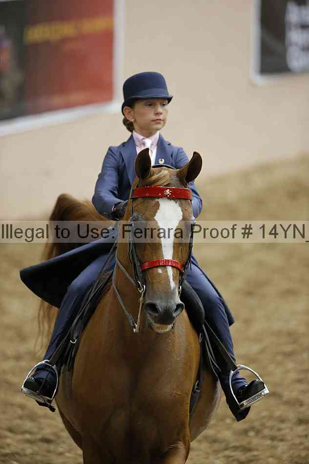 Proof 14yn_01278