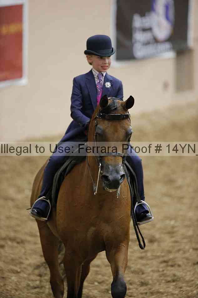 Proof 14yn_01287