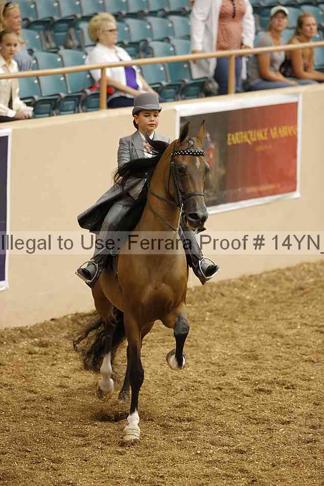 Proof 14yn_01290