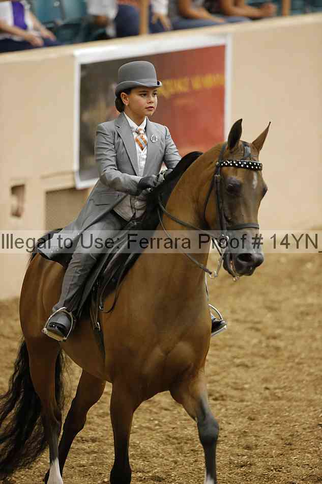 Proof 14yn_01291