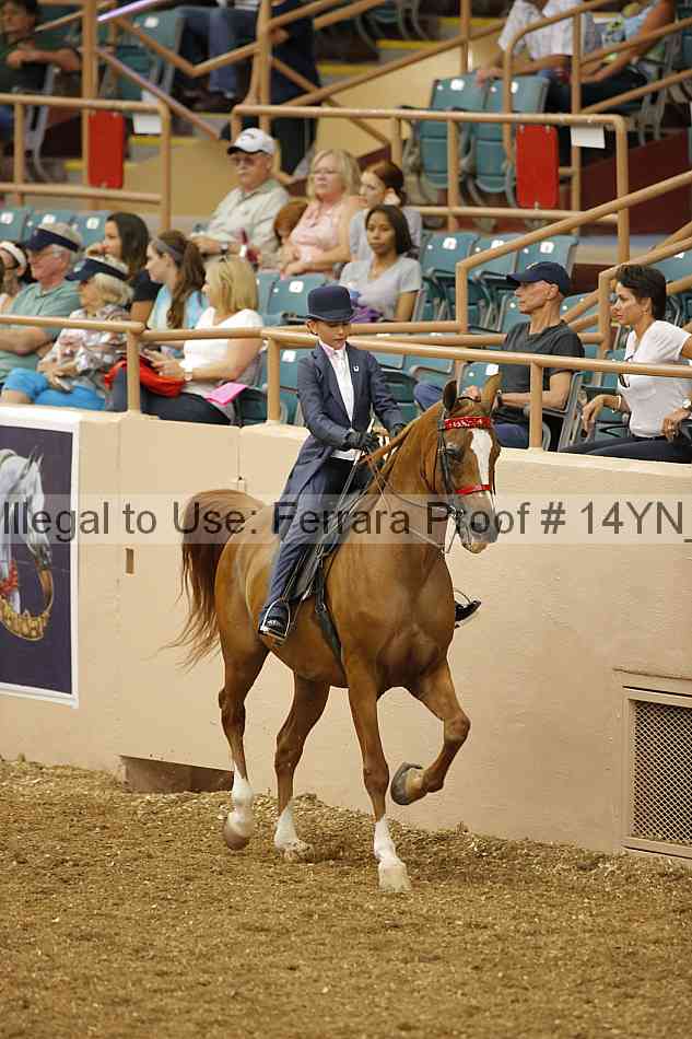 Proof 14yn_01295