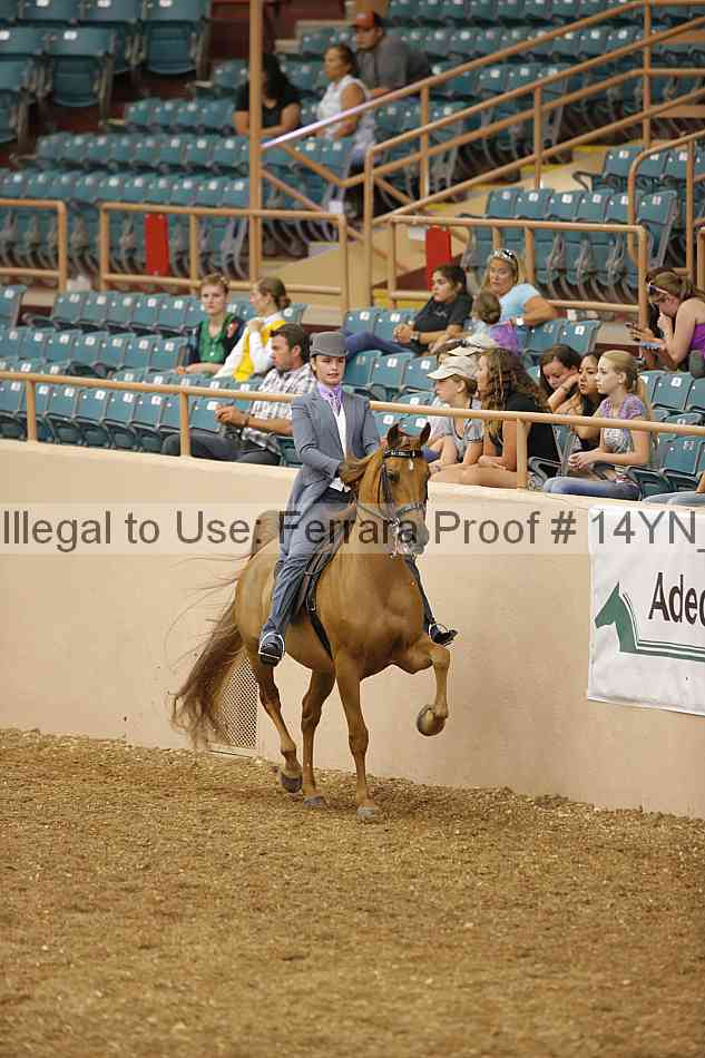 Proof 14yn_01297