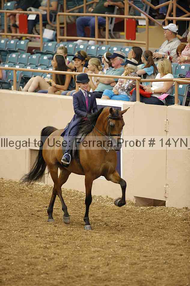Proof 14yn_01301