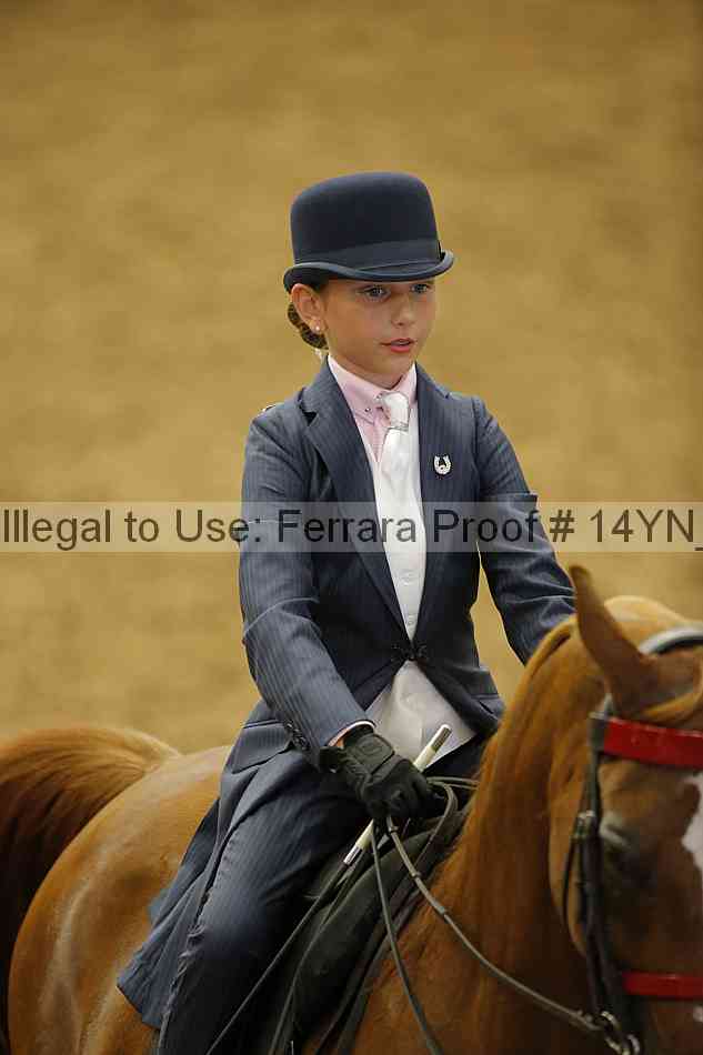 Proof 14yn_01305