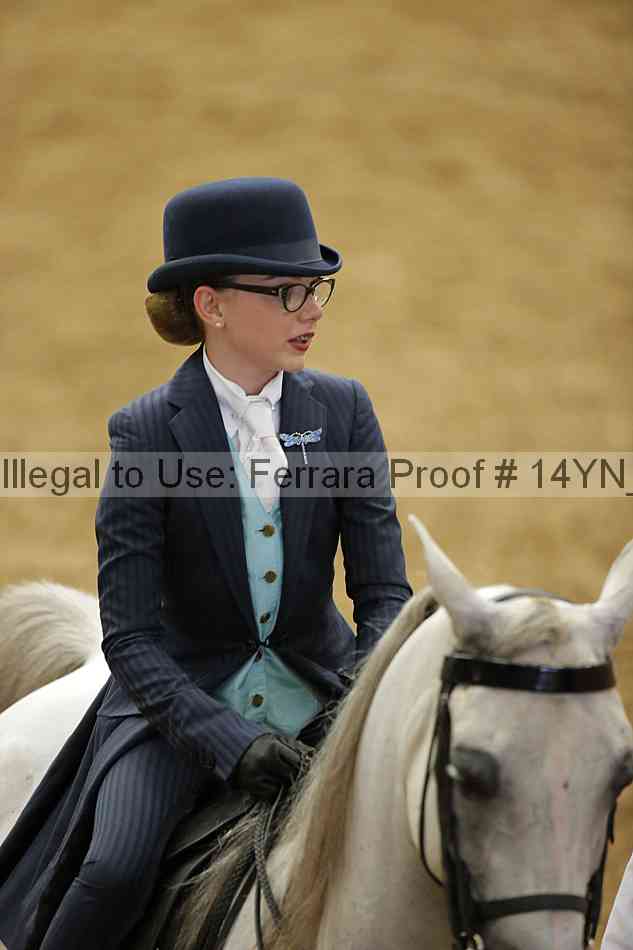 Proof 14yn_01307
