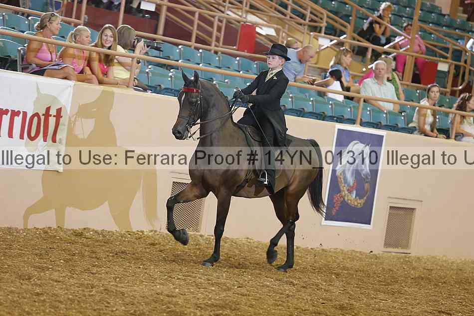 Proof 14yn_01310