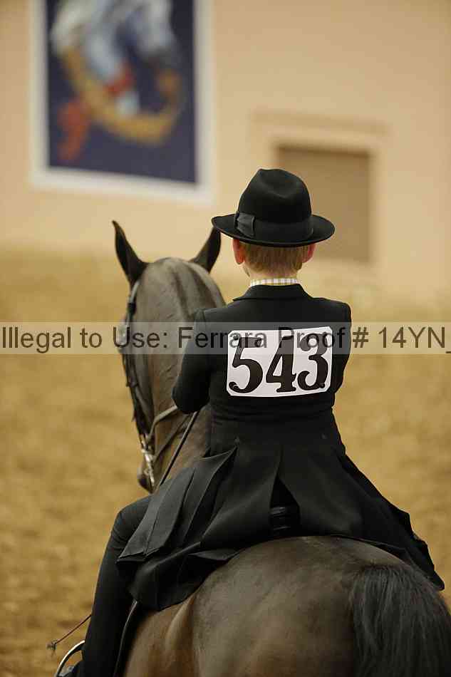 Proof 14yn_01311