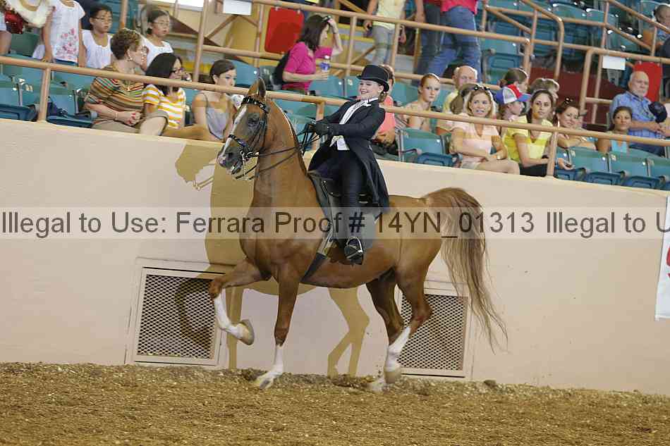 Proof 14yn_01313