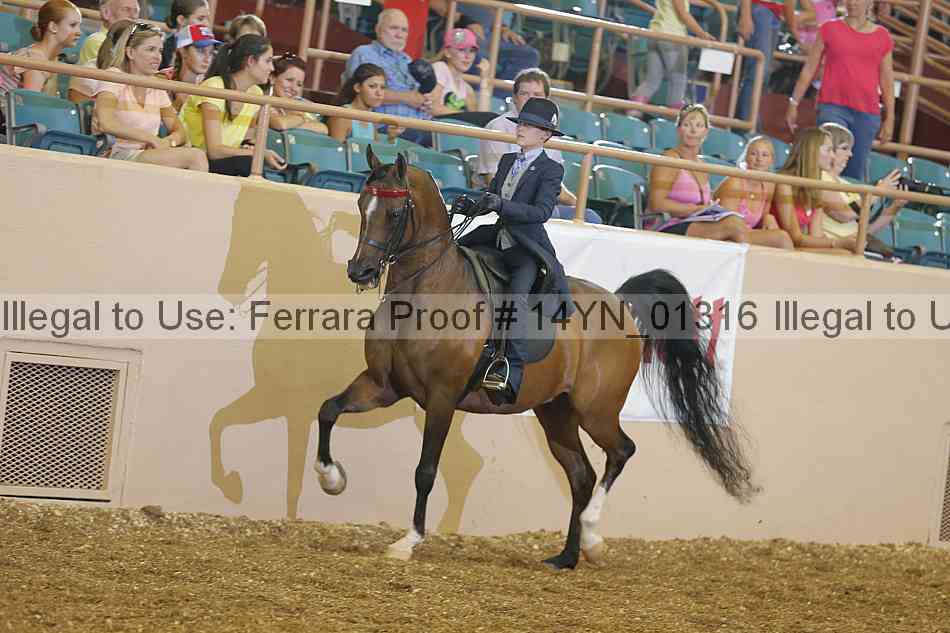 Proof 14yn_01316