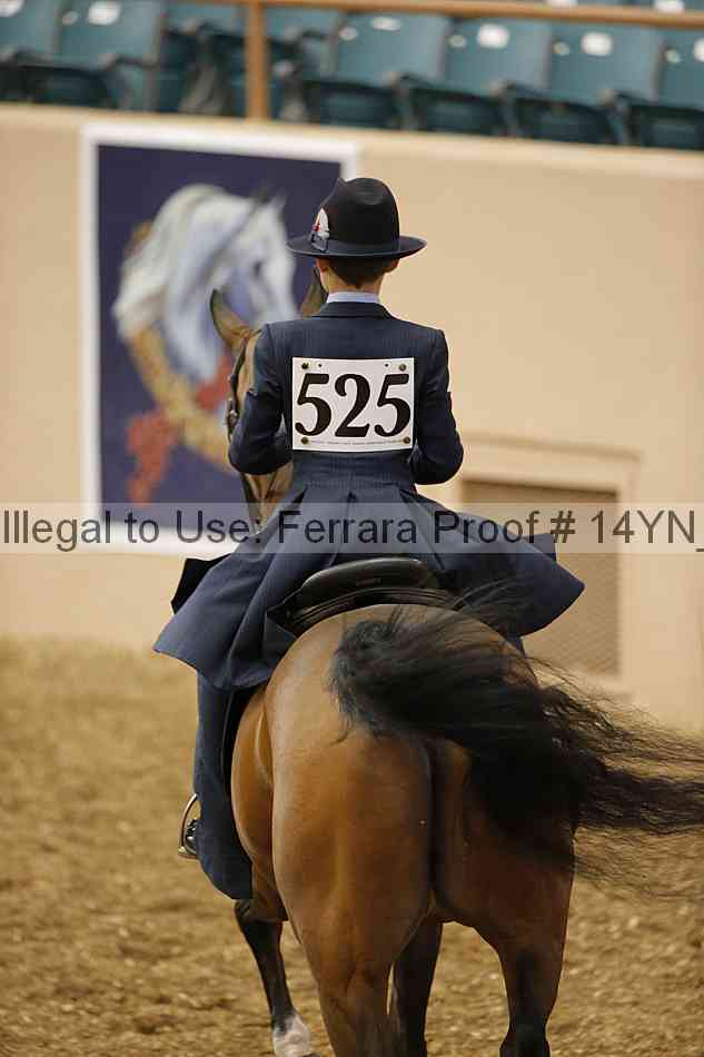 Proof 14yn_01317