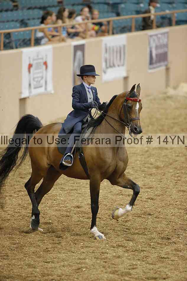 Proof 14yn_01325
