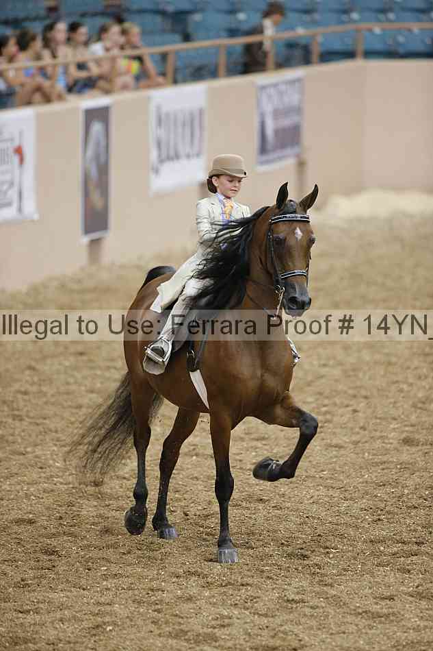 Proof 14yn_01327