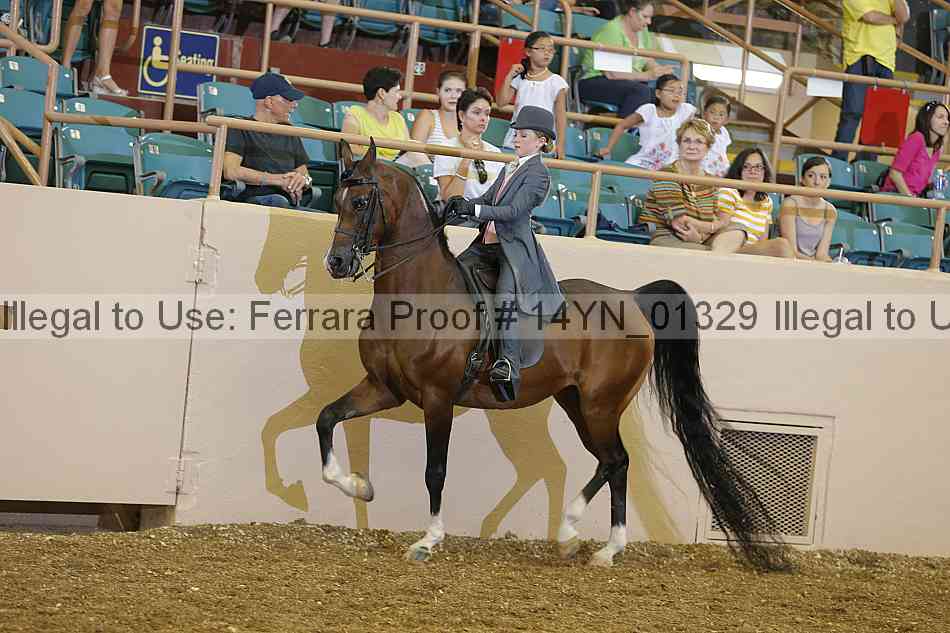 Proof 14yn_01329