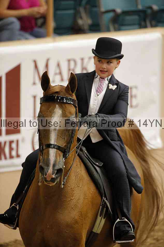 Proof 14yn_01334