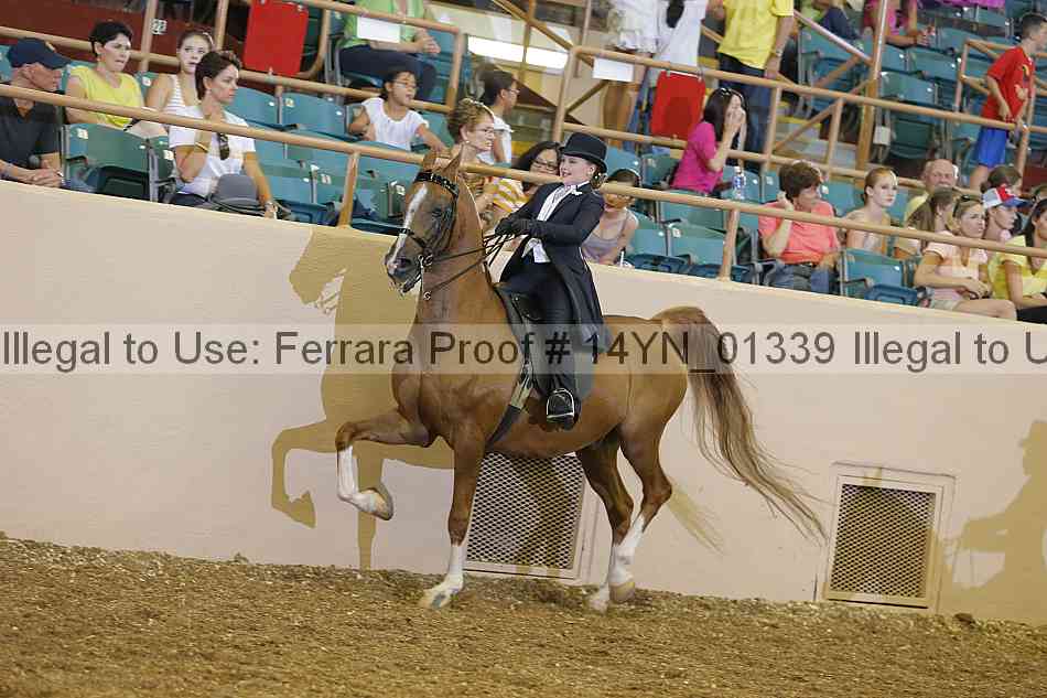 Proof 14yn_01339