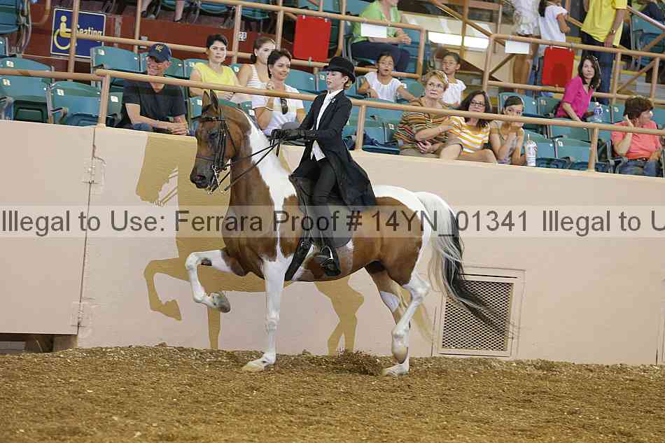 Proof 14yn_01341