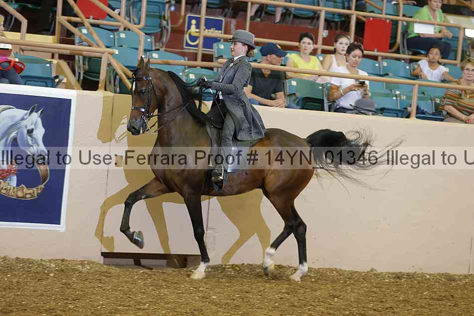 Proof 14yn_01346