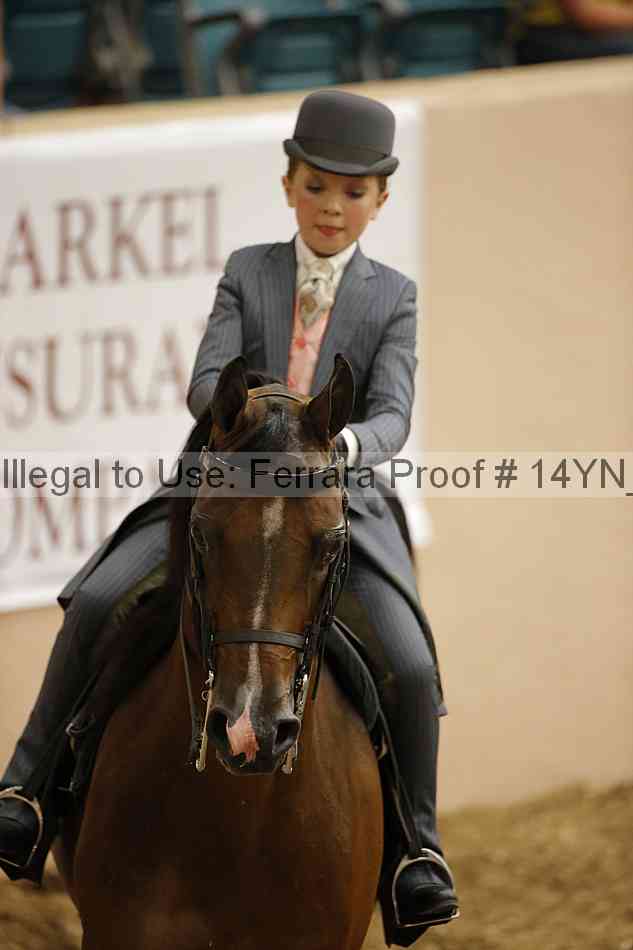Proof 14yn_01347