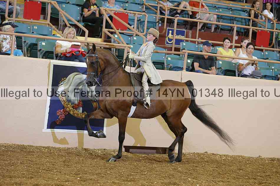 Proof 14yn_01348