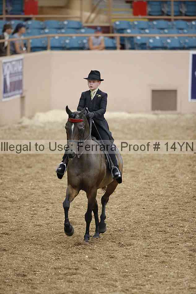 Proof 14yn_01349