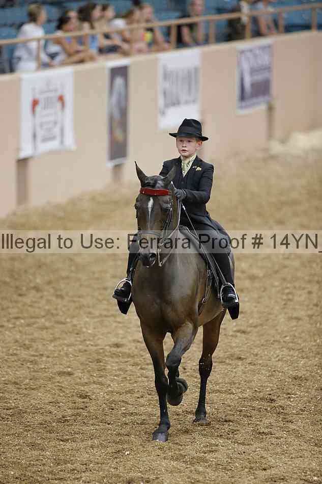 Proof 14yn_01350