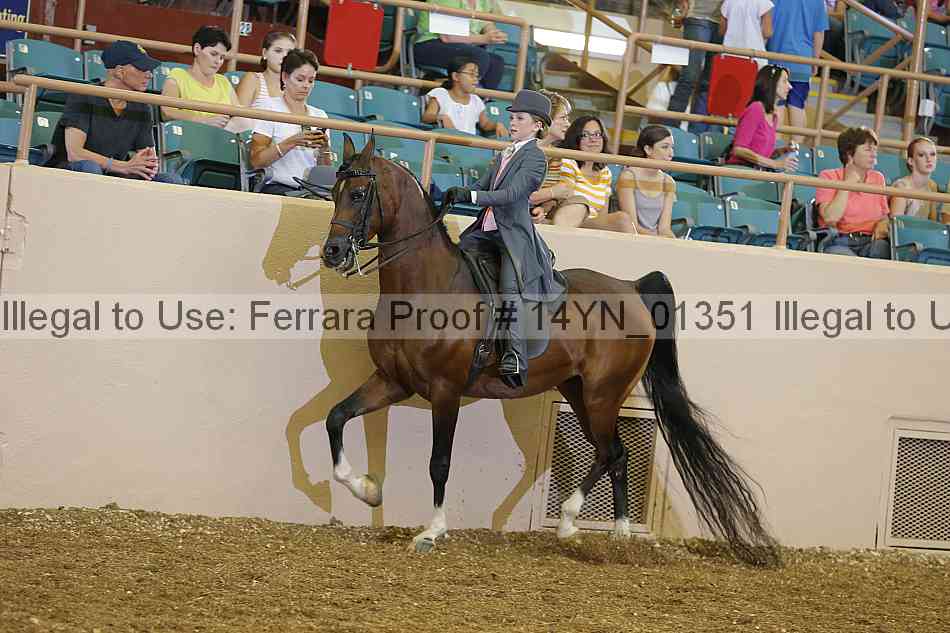 Proof 14yn_01351