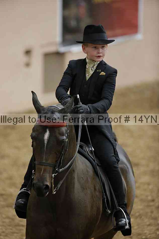 Proof 14yn_01352