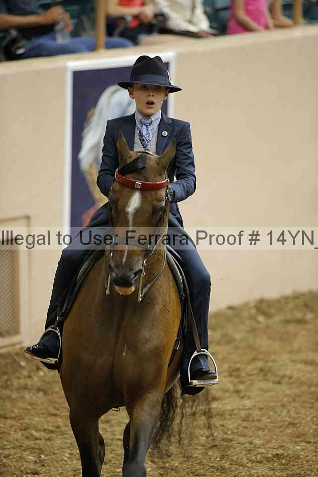 Proof 14yn_01353