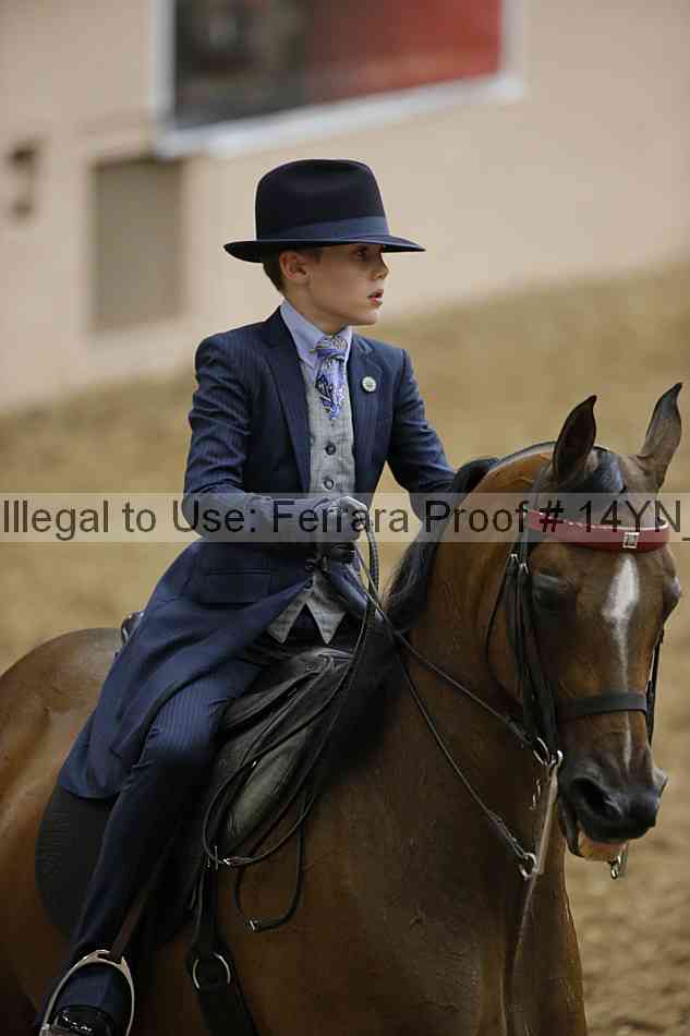 Proof 14yn_01354