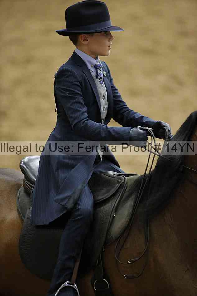 Proof 14yn_01355