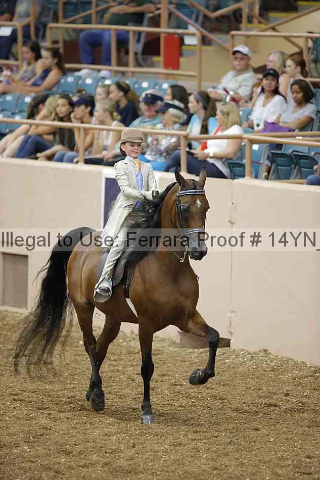 Proof 14yn_01360