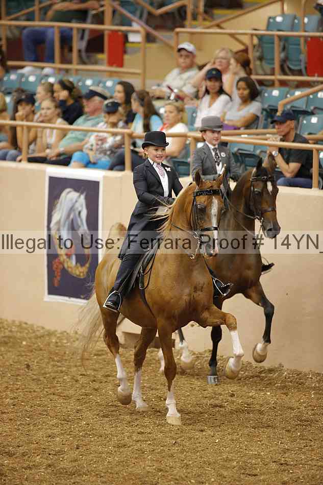 Proof 14yn_01361
