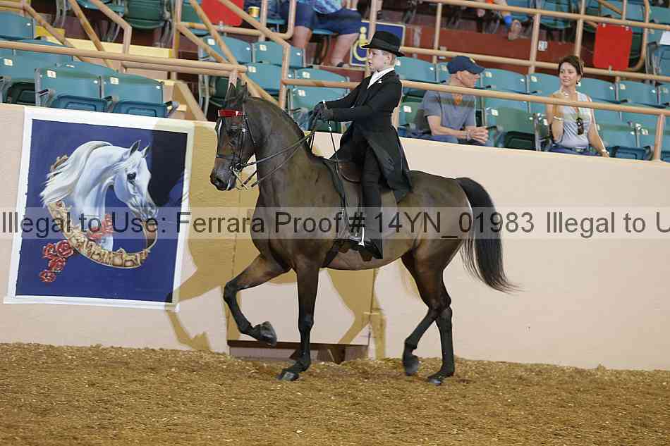 Proof 14yn_01983