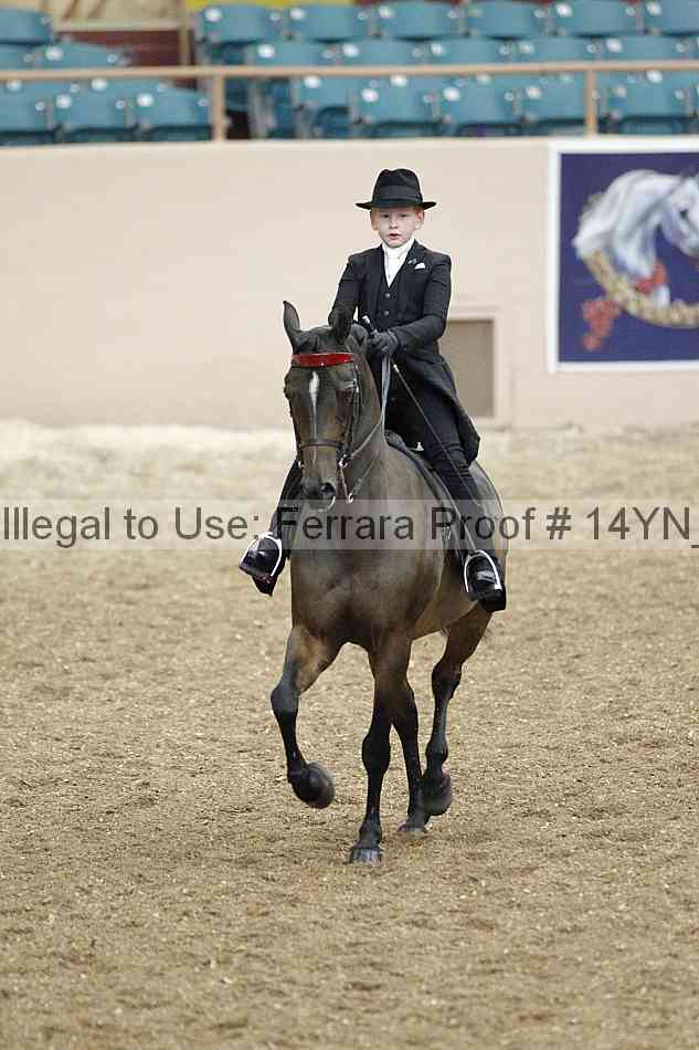 Proof 14yn_01986