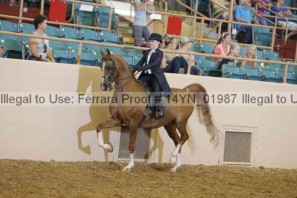 Proof 14yn_01987