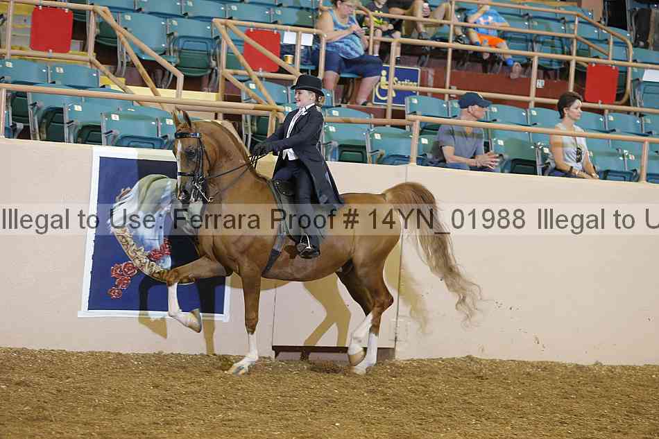 Proof 14yn_01988