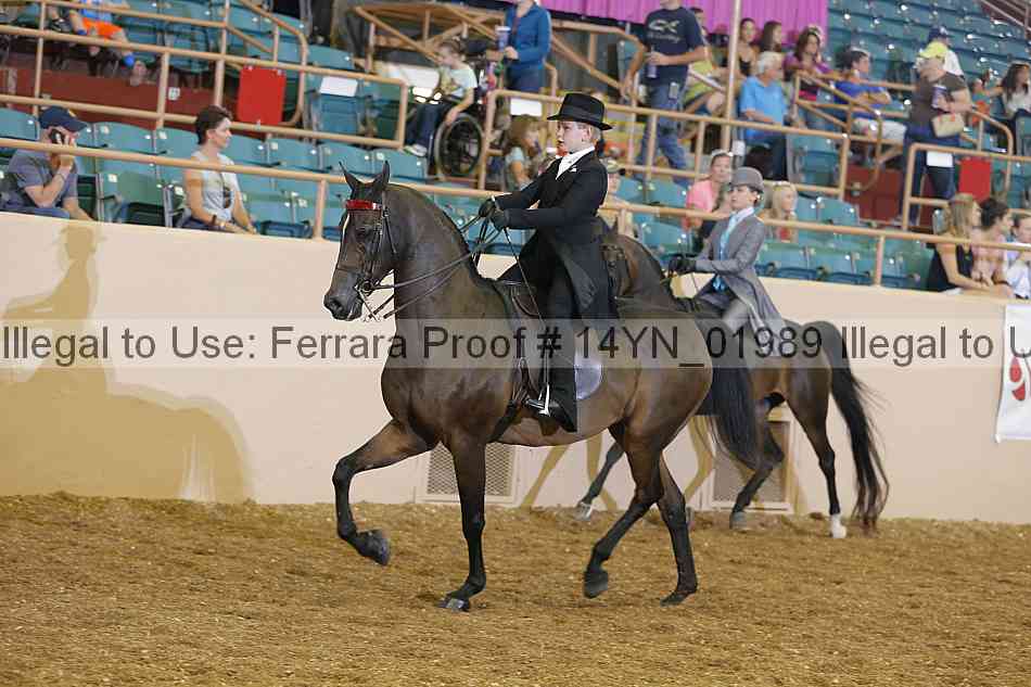 Proof 14yn_01989